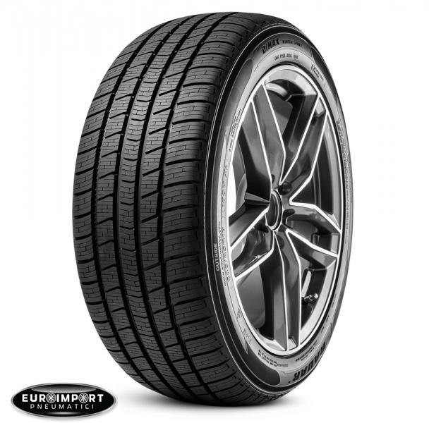 Radar Dimax Winter  195/55 R16 87 H  